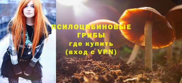 молекула духа Красноперекопск
