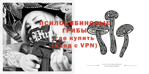 молекула духа Красноперекопск